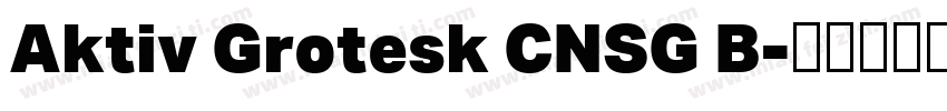 Aktiv Grotesk CNSG B字体转换
